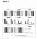 Fig. 07 - AMPHOTERIC LIPOSOMES COMPRISING IMINO LIPIDS