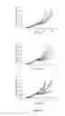 Fig. 09 - Modified drugs for use in liposomal nanoparticles