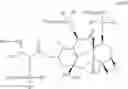 Fig. 46 - Modified drugs for use in liposomal nanoparticles