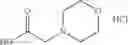 Fig. 72 - Modified drugs for use in liposomal nanoparticles