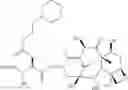 Fig. 85 - Modified drugs for use in liposomal nanoparticles