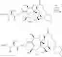 Fig. 89 - Modified drugs for use in liposomal nanoparticles