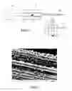 Fig. 02 - Method for elaborating carbon nanotubes on a substrate