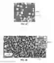 Fig. 05 - Nanodevices for generating power from molecules and batteryless sensing