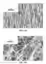 Fig. 30 - Nanodevices for generating power from molecules and batteryless sensing