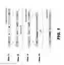 Fig. 02 - BACTERIUM FOR PRODUCTION OF FATTY ACIDS