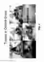 Fig. 08 - Triptolide prodrugs