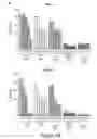 Fig. 09 - TREATMENT OF HUMAN OSTEOSARCOMA