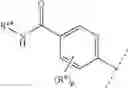 Fig. 09 - Aminopyrazoloquinazolines