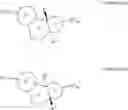 Fig. 06 - Nuclear Hormone Receptor Modulators