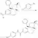 Fig. 296 - Nuclear Hormone Receptor Modulators
