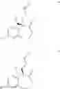 Fig. 340 - Nuclear Hormone Receptor Modulators