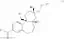 Fig. 367 - Nuclear Hormone Receptor Modulators