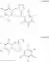Fig. 23 - Compound