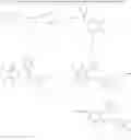 Fig. 70 - Compound