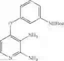 Fig. 167 - Pyrido[2,3-b]pyrazin-8-substituted compounds and their use