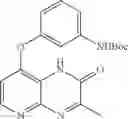 Fig. 191 - Pyrido[2,3-b]pyrazin-8-substituted compounds and their use