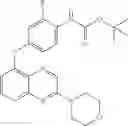 Fig. 201 - Pyrido[2,3-b]pyrazin-8-substituted compounds and their use