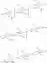 Fig. 09 - Monoconjugated chitosans as delivery agents for small interfering nucleic acids