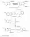 Fig. 07 - Fluorescent dyes