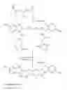 Fig. 08 - Fluorescent dyes