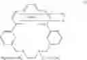 Fig. 02 - Compounds having phenanthroline structure