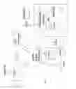 Fig. 02 - Apparatus for acquiring, processing and transmitting physiological sounds