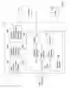 Fig. 03 - Apparatus for acquiring, processing and transmitting physiological sounds