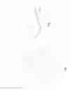Fig. 02 - WOUND DRESSING, AND METHOD AND PRODUCTION LINE OF PRODUCING THE WOUND DRESSING
