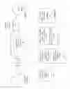 Fig. 07 - Two-layer compression bandage system and methods of making and using the same