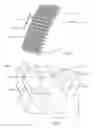 Fig. 08 - Structured Fibrous Web