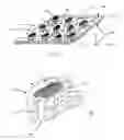 Fig. 09 - Structured Fibrous Web