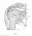 Fig. 02 - Combination reamer/drill bit for shoulder arthoplasty