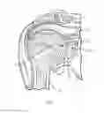 Fig. 02 - Device and method for retroversion correction for shoulder arthroplasty
