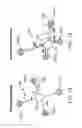 Fig. 10 - Neurostimulation system for defining ideal multipole configurations at lead boundary