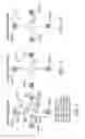 Fig. 09 - Neurostimulation system for matching ideal pole spacing with effective electrode separation