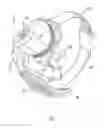 Fig. 02 - Visual prosthesis including a flexible circuit electrode array