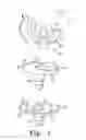 Fig. 02 - Orthopaedic knee prosthesis having controlled condylar curvature