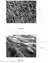 Fig. 02 - Devices and Methods for Tissue Engineering