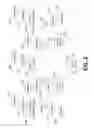 Fig. 04 - Multi-dimensional reputation scoring