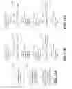 Fig. 12 - Multi-dimensional reputation scoring