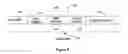 Fig. 06 - Unobtrusive methods and systems for collecting information transmitted over a network