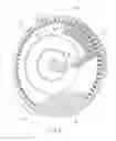 Fig. 09 - Metering member for a seed meter