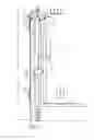 Fig. 02 - DOG DOOR CHIMES