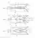 Fig. 04 - Positive displacement motor with applications including internal and external combustion