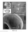 Fig. 05 - Direct Synthesis of Patterned Graphene by Deposition