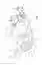 Fig. 07 - Three wheeled vehicle