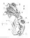 Fig. 22 - Three wheeled vehicle