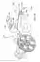 Fig. 35 - Three wheeled vehicle