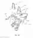 Fig. 52 - Three wheeled vehicle
